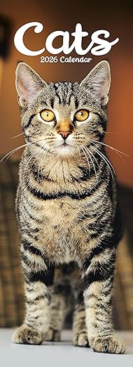 Cats Slim 2026 Calendar