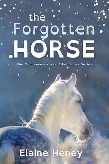 Forgotten Horse: The Connemara Horse Adventure Series Book 1 Dyslexia Friendly / Elaine Heney