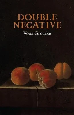 Double Negative / Vona Groarke