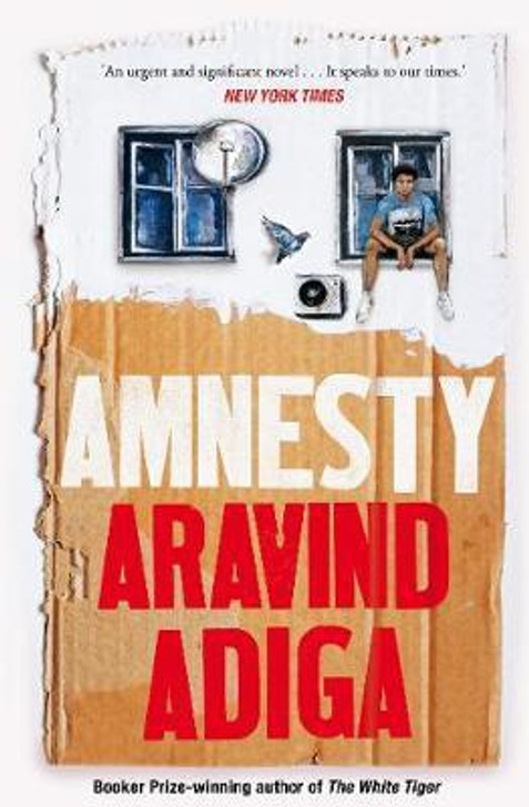 Amnesty / Aravind Adiga