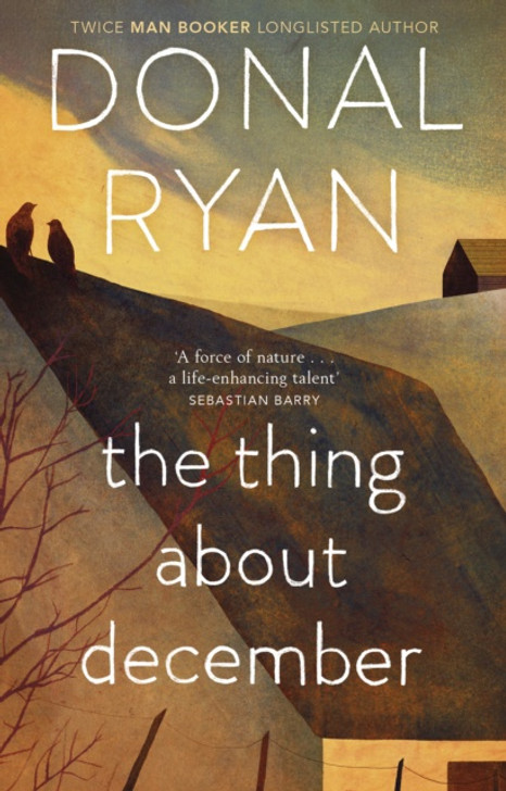 Thing About December PBK, The / Donal Ryan