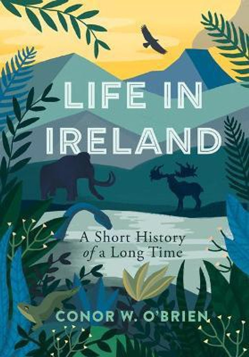 Life in Ireland: A Short History of a Long Time