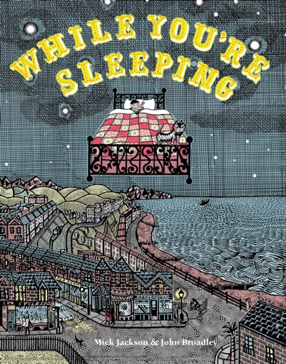 While You're Sleeping H/B / Mick Jackson & John Broadley