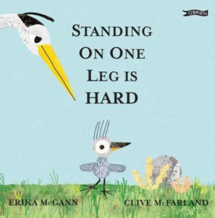 Standing on One Leg is Hard / Erika McGann & Clive McFarland