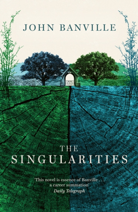 Singularities PBK, The / John Banville