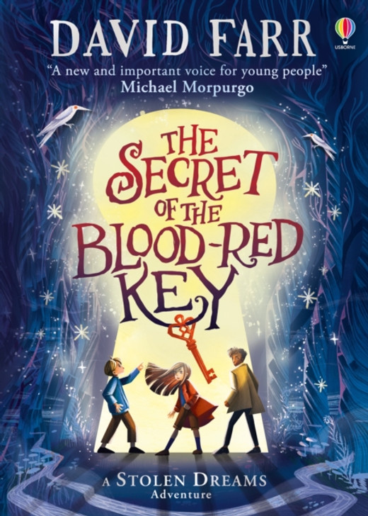 Secret of the Blood-Red Key, The / David Farr