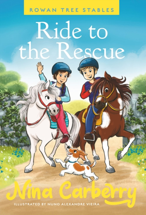 Rowan Tree Stables 1 : Ride to the Rescue / Nina Carberry