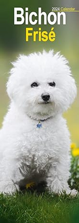 Bichon Frise Slim Calendar 2024