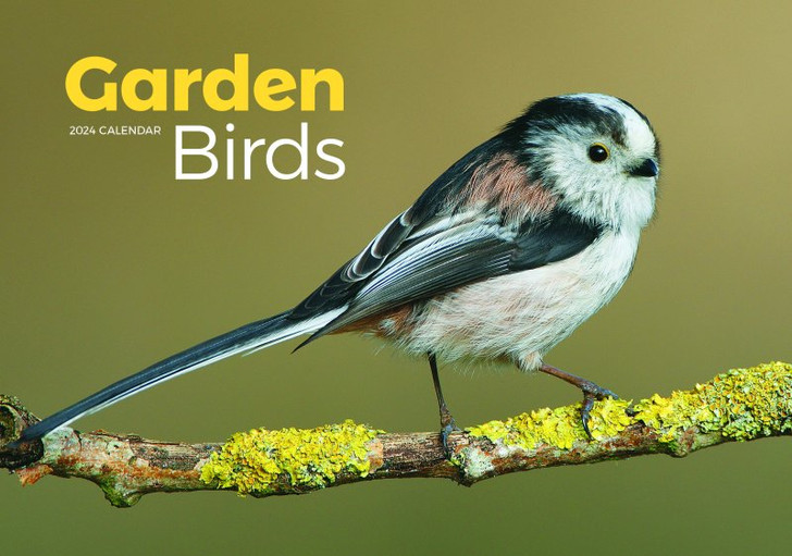 Garden Birds A4 Calendar 2024 Bookworm Bookstore