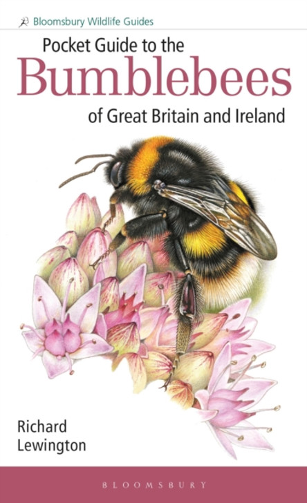 Pocket Guide to the Bumblebees of Great Britain and Ireland / Ricahrd Lewington