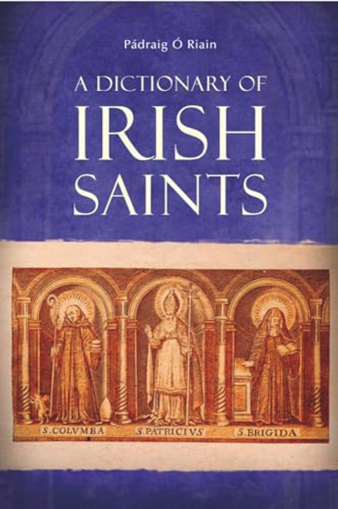 Dictionary of irish Saints / Padraig O Riain