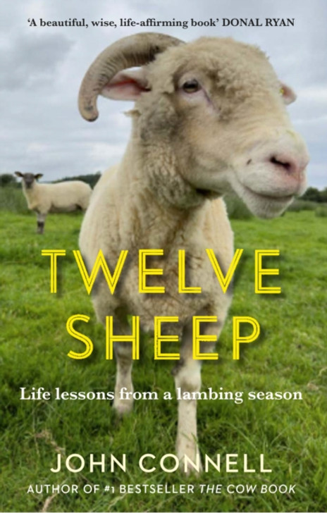 Twelve Sheep: Life Lessons From a Lambing Season / John Connell