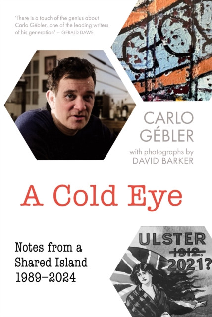 Cold Eye : Notes from a Shared Island, 1989–2024 / Carlo Gebler