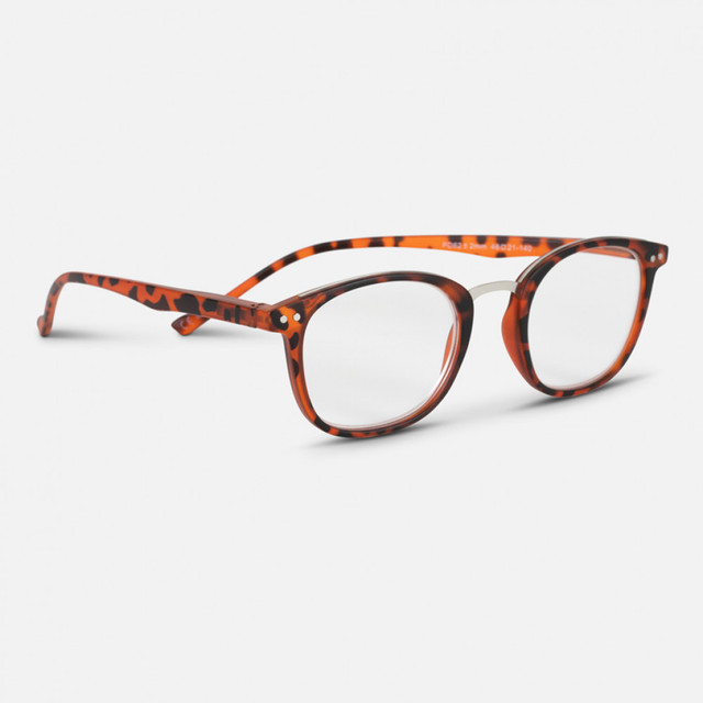 Easy Readers Metal Bridge Tortoiseshell +1.5