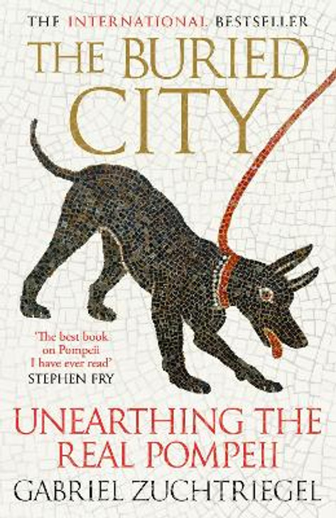 Buried City: Unearthing the Real Pompeii / Gabriel Zuchtriegel