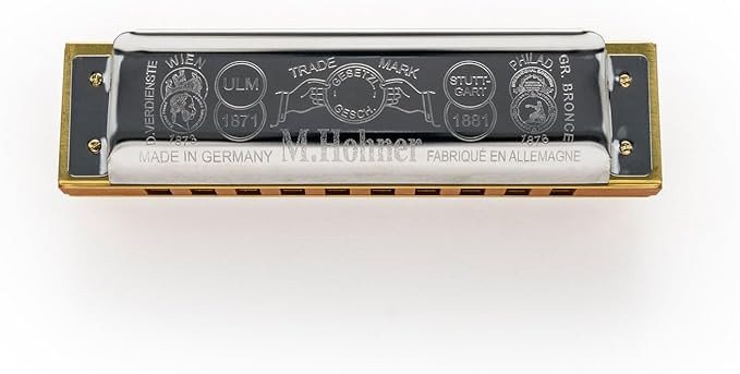 Hohner D Harmonica