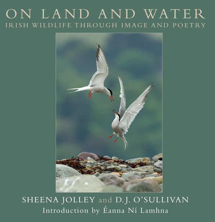 On Land and Water: Irish Wildlife Through Image and Poetry / Sheena Jolley & D.J. O'Sullivan