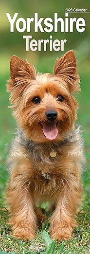 Yorkshire Terrier Slim 2026 Calendar