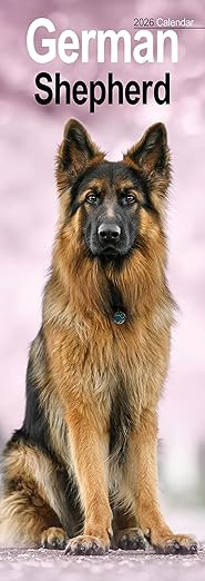 German Shepherd Slim 2026 Calendar