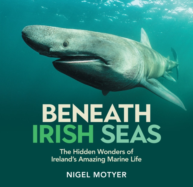 Beneath Irish Seas : The Hidden Wonders of Ireland’s Amazing Marine Life / Nigel Motyer