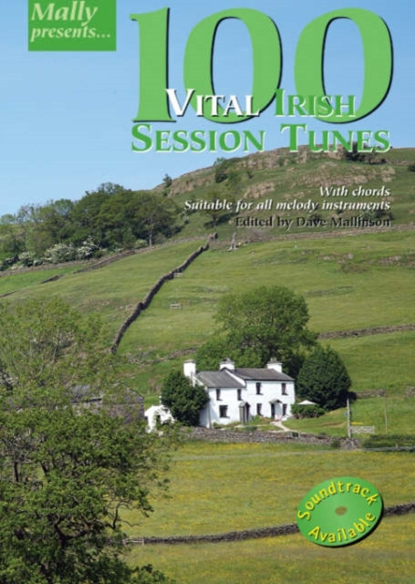 100 Vital Irish Session Tunes / Dave Mallinson