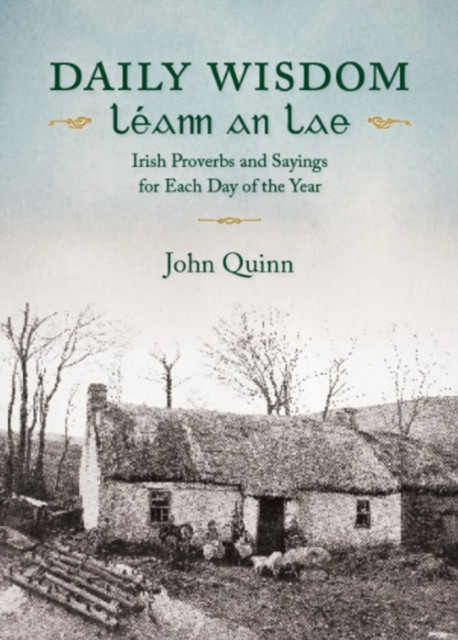 Daily Wisdom: LeAnn an Lae PBK / John Quinn