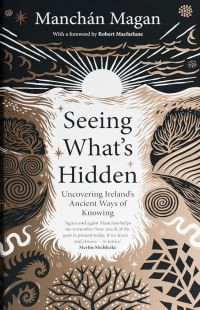 Seeing What's Hidden / Manchan Magan