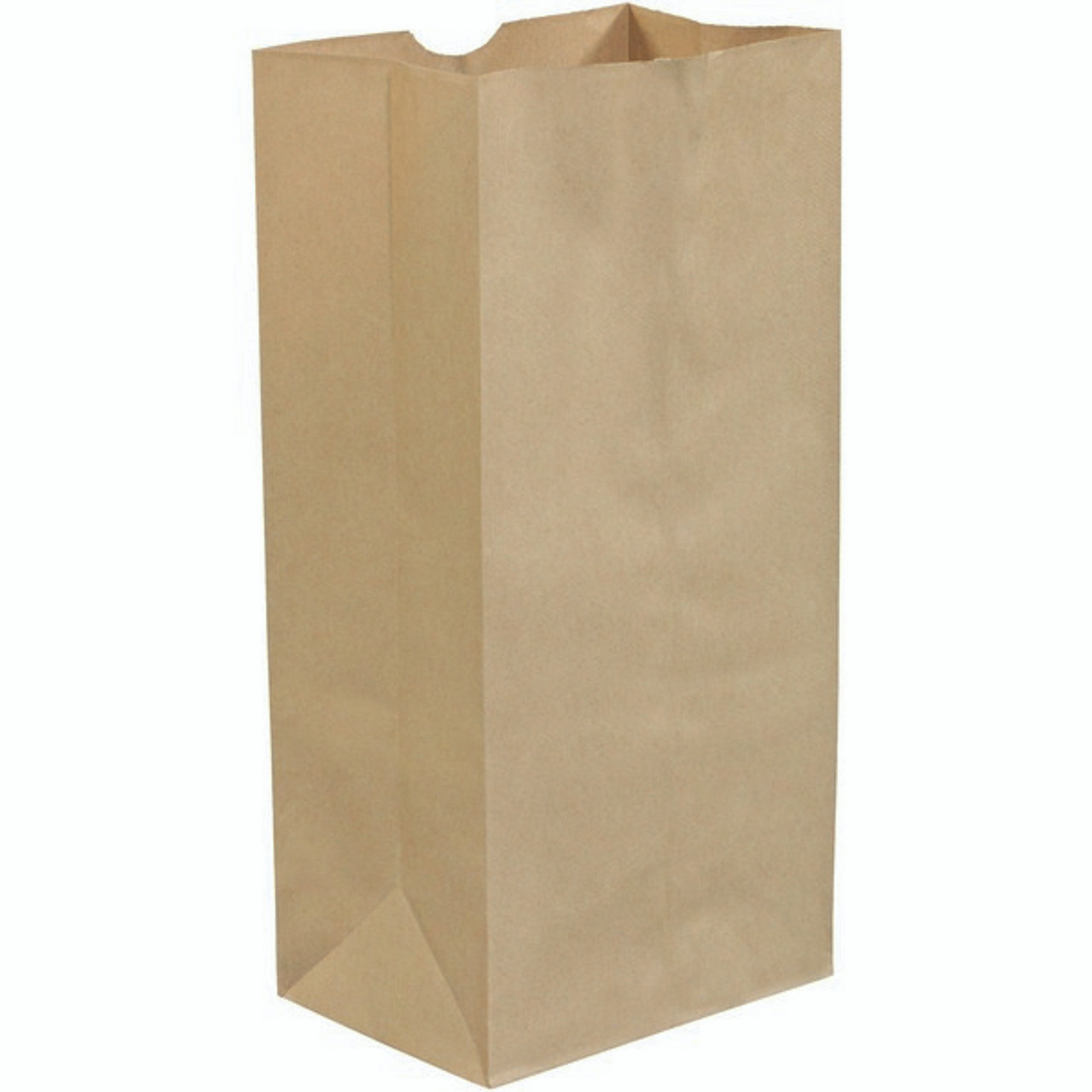 Paper 2025 grocery sacks