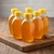 12 oz Clear PET Plastic Honey Bee Hive Bottles (Cap Not Included) - 33513-B