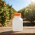 8 oz Natural Beveled Square HDPE Plastic Juice Bottle (Tamper-Evident Cap) - JUICE8OR