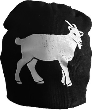 Reflective Goat Beanie