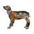 African Print Dog Pajama  S-4XL