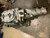 1957  T10 T-10 JUNE 15 BORG WARNER GM CORVETTE TRANSMISSION spac 