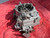 62 Corvette 3269 340 327  CARTER CARBURETOR  3269S 340HP AFB 3269 S  #2