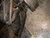 1956-57 58 59 60 61 62 CORVETTE FRONT CROSS MEMBER STEERING SUPPORT A-ARMS KING 