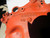 1956-57 Corvette INTAKE MANIFOLD CAST IRON 1x4 3735448 DATED H-20-6 CHEVROLET