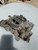 1964-65 Corvette 3721 ORIGINAL CARBURETOR  CARTER AFB SMALL BLOCK  327 #1