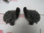 61-62 Corvette USED ORIGINAL HORNS PAIR DELCO REMY MADE IN USA 