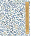 Liberty Tana Lawn - Donna Leigh X