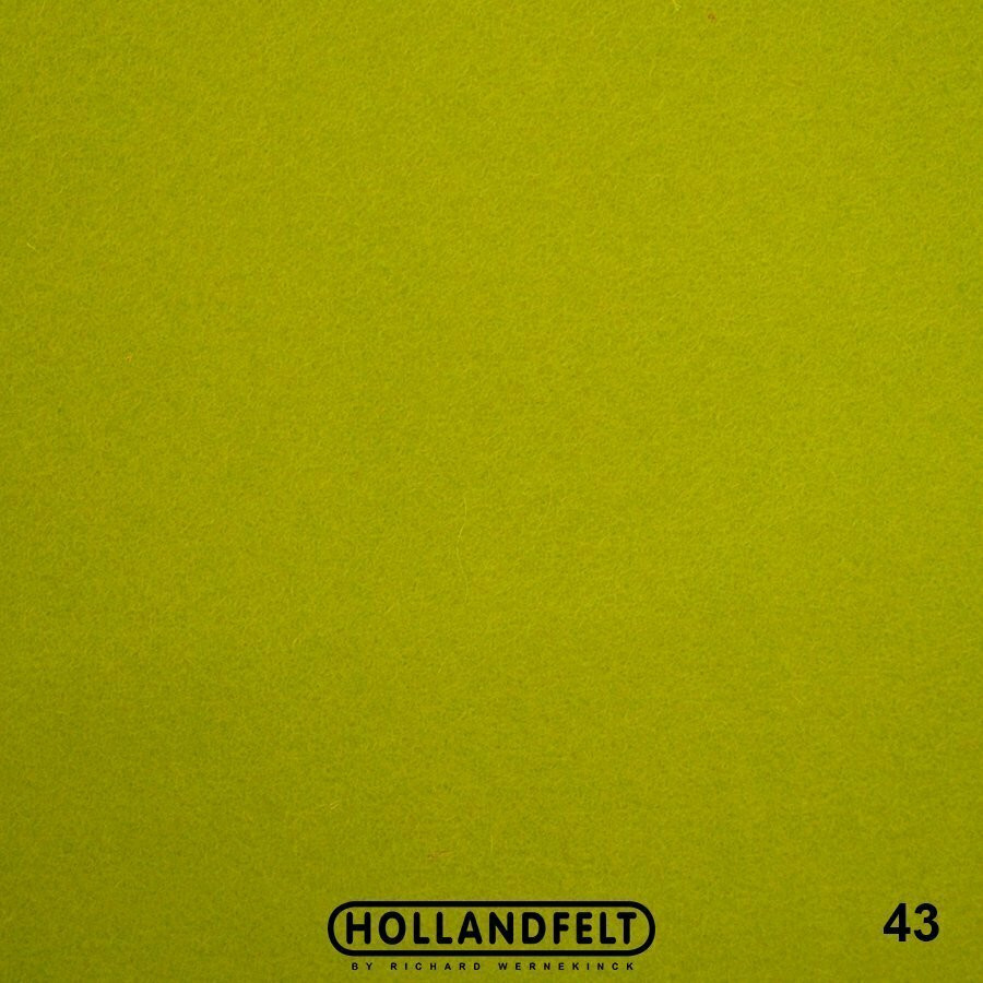 Wool Felt - 43