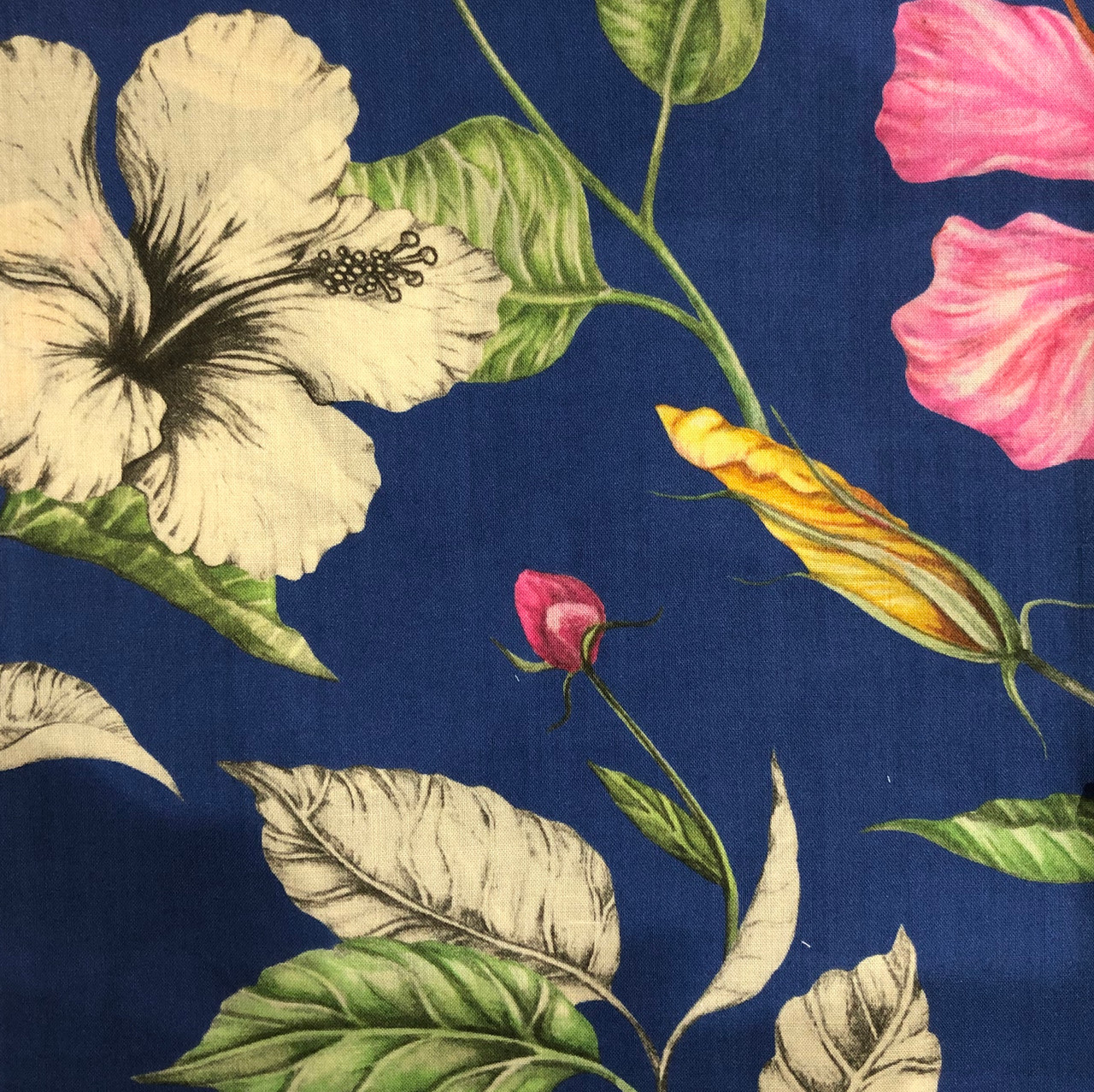 Liberty Tana Lawn : Paradise Bay B