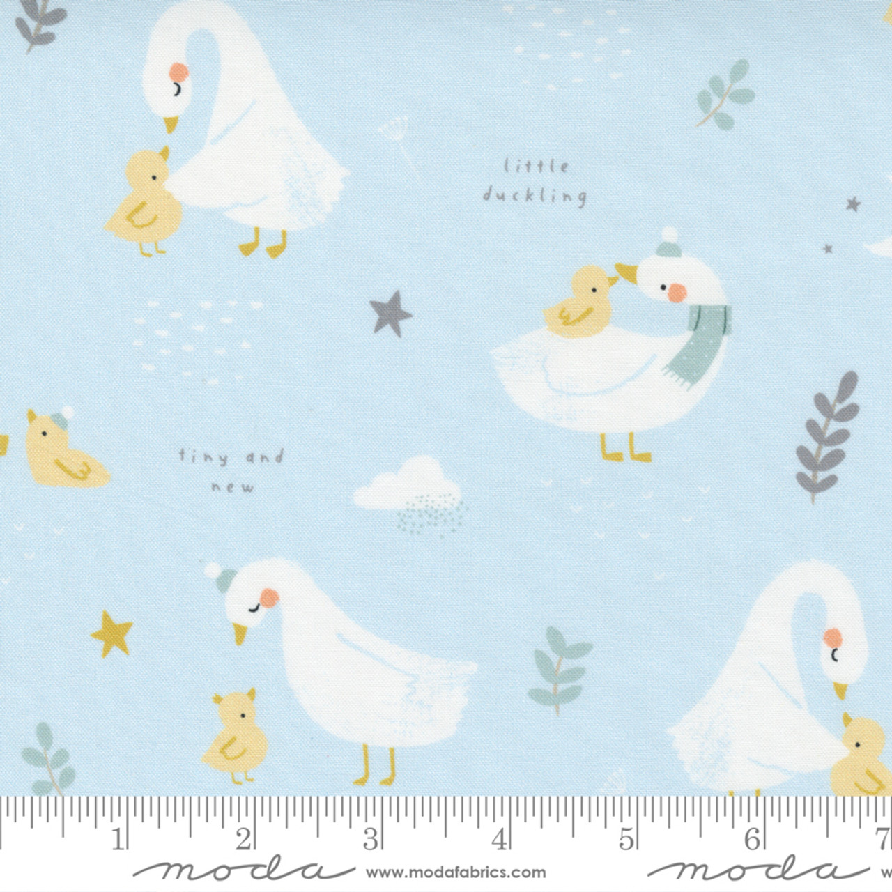 Little Ducklings : Blue