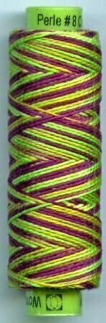 Eleganza - Chameleon