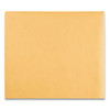Clasp Envelope, #95, Square Flap, Clasp/gummed Closure, 10 X 12, Brown Kraft, 100/box