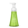 Foaming Hand Wash, Green Tea And Aloe, 10 Oz Pump Bottle Foaming Hand Wash, Green Tea And Aloe, 10 Oz Pump Bottle
