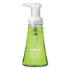 Foaming Hand Wash, Green Tea And Aloe, 10 Oz Pump Bottle Foaming Hand Wash, Green Tea And Aloe, 10 Oz Pump Bottle