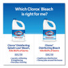 Regular Bleach With Cloromax Technology, 24 Oz Bottle, 12/carton Regular Bleach With Cloromax Technology, 24 Oz Bottle, 12/carton