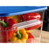 Squares Food Storage Container Lid, 11.38 X 11.38 X 0.63, Blue, Plastic Squares Food Storage Container Lid, 11.38 X 11.38 X 0.63, Blue, Plastic
