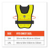 Chill-its 6687 Economy Dry Evaporative Cooling Elastic Waist Vest, Nylon, Large/x-large, Lime Chill-its 6687 Economy Dry Evaporative Cooling Elastic Waist Vest, Nylon, Large/x-large, Lime