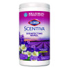 Scentiva Bleach Free Cleaning Wipes, 7.75 X 7, Tuscan Lavender And Jasmine, 75/canister Scentiva Bleach Free Cleaning Wipes, 7.75 X 7, Tuscan Lavender And Jasmine, 75/canister